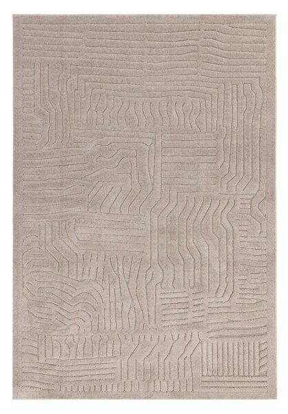 Beżowy dywan 200x290 cm Valley – Asiatic Carpets