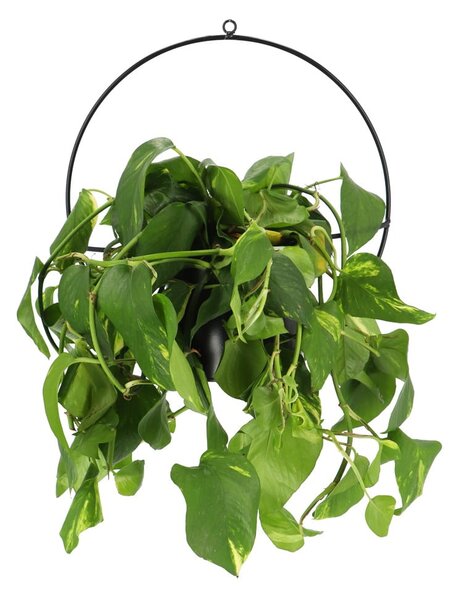 Czarny regulowany kwietnik z doniczką Esschert Design Planter