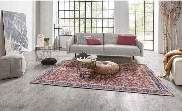 Bordowy dywan Nouristan Vivana, 80x150 cm