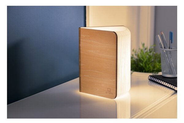 Dekoracja świetlna na USB w naturalnym kolorze Booklight – Gingko