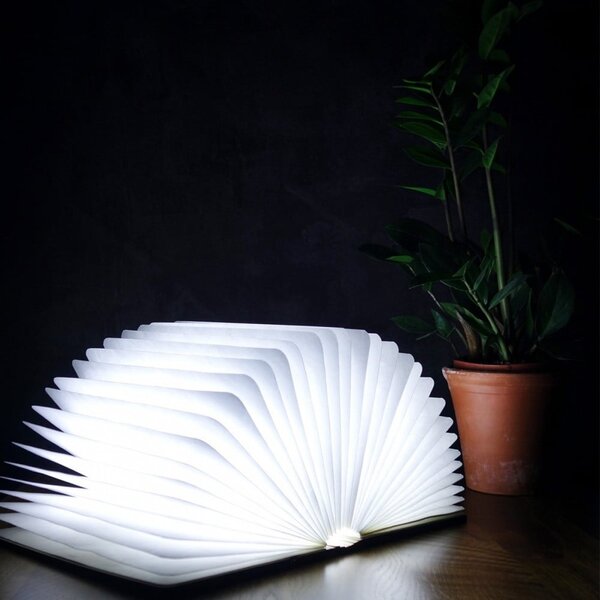 Dekoracja świetlna na USB w naturalnym kolorze Booklight – Gingko