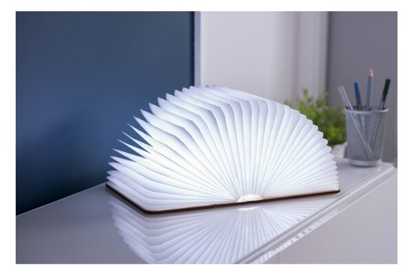 Dekoracja świetlna na USB w naturalnym kolorze Booklight – Gingko