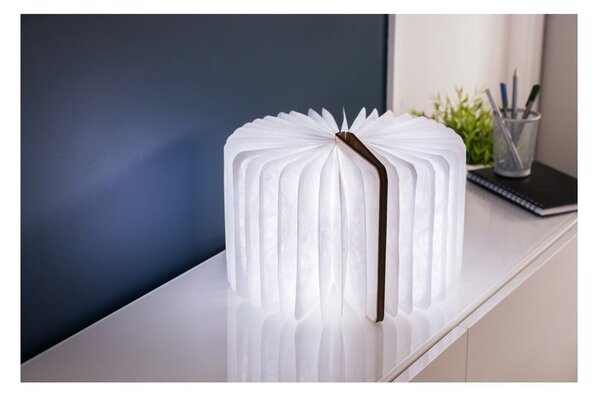 Dekoracja świetlna na USB w naturalnym kolorze Booklight – Gingko