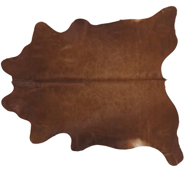 Skóra bydlęca dywan ze skóry krowa bazylijska 2-3 m² złoty brąz Nasqu Beliani