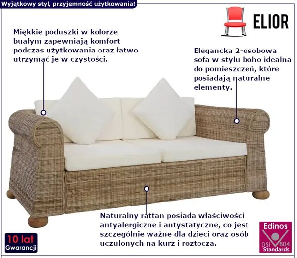 Brązowa 2-osobowa sofa z rattanu H3-N23