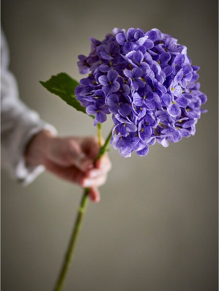 Sztuczny kwiat (wysokość 73,5 cm) Hydrangea – Bloomingville