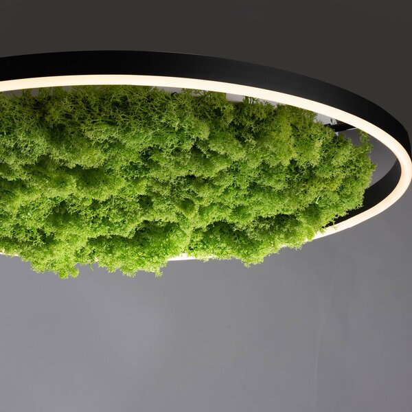 JUST LIGHT. GmbH Lampa sufitowa LED Green Ritus, możliwość ściemniania, zielony, salon / jadalnia, nowoczesny