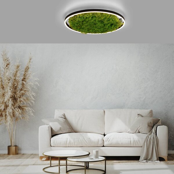 JUST LIGHT. GmbH Lampa sufitowa LED Green Ritus, możliwość ściemniania, zielony, salon / jadalnia, nowoczesny