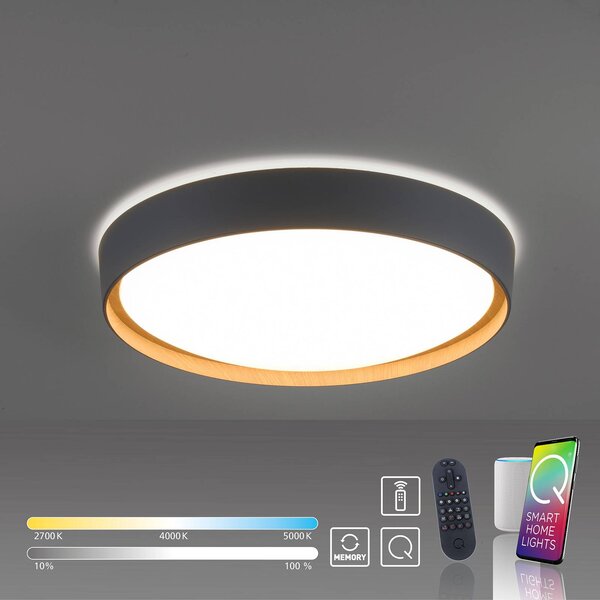 Q-Smart-Home Inteligentna lampa sufitowa Q-EMILIA, możliwość ściemniania, aluminiowy / szary / cynkowy, salon / jadalnia, metal