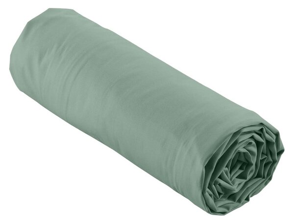 Zielone prześcieradło z perkalu bawełnianego z gumką 90x190 cm Percaline – douceur d'intérieur