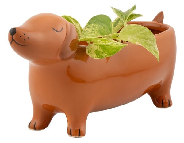 Ceramiczna osłonka na doniczkę Sausage Dog – Sass & Belle