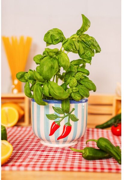 Ceramiczna ręcznie malowana osłonka na doniczkę ø 12 cm Chilli – Sass & Belle