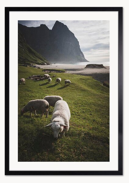 Oprawiony druk cyfrowy Grazing