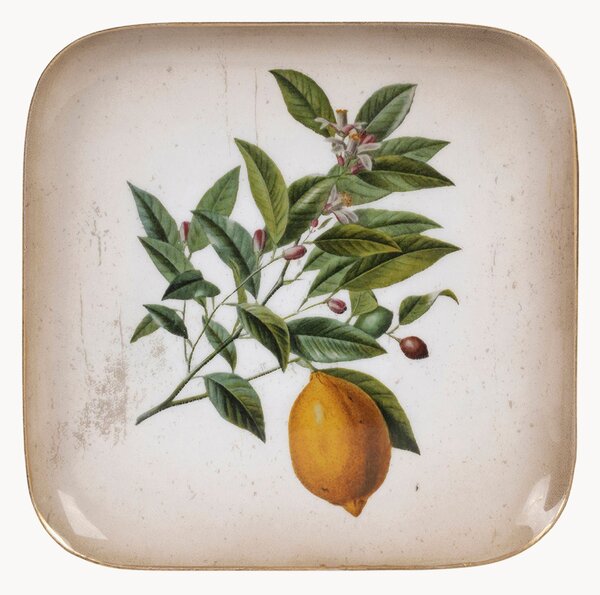 Taca do serwowania Lemon Tree