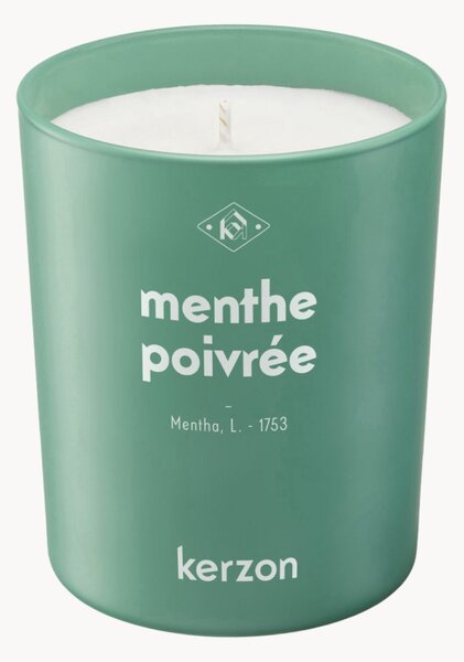 Świeca zapachowa Menthe Poivrée (mięta pieprzowa, szałwia)