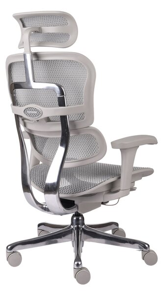 Fotel biurowy Ergohuman 2 Basic GS Grey - szary, ergonomiczny fotel siatkowy