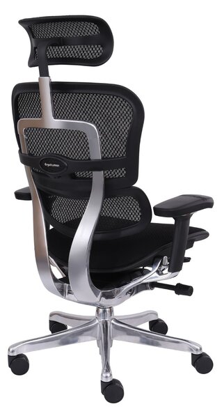 Fotel biurowy Ergohuman 2 Elite BT Black