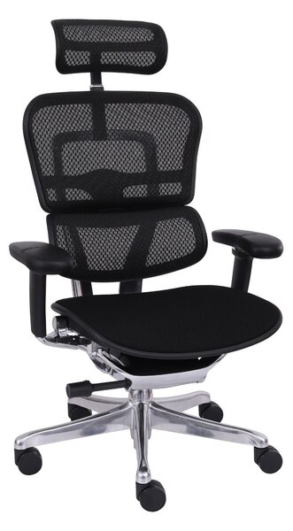 Fotel biurowy Ergohuman 2 Elite BT Black