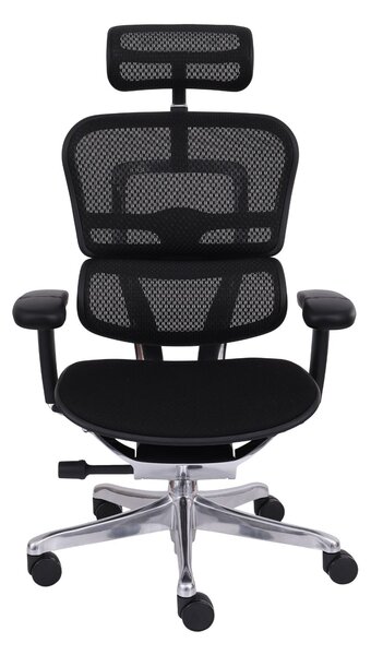 Fotel biurowy Ergohuman 2 Elite BT Black