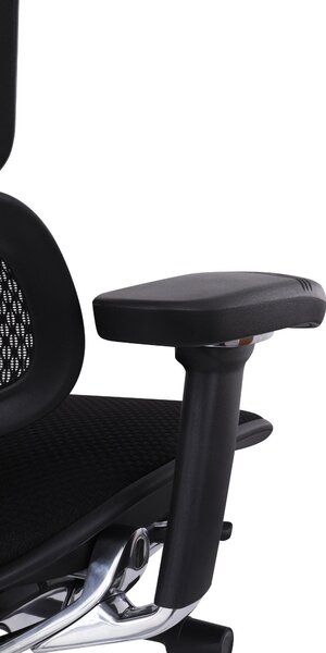 Fotel biurowy Ergohuman 2 Elite BT Black