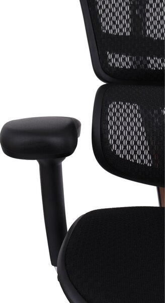 Fotel biurowy Ergohuman 2 Elite BT Black