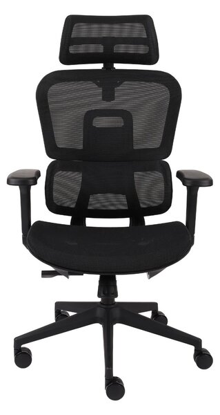 Fotel ergonomiczny Pedro, obrotowy, na kółkach, do gabinetu, do biura
