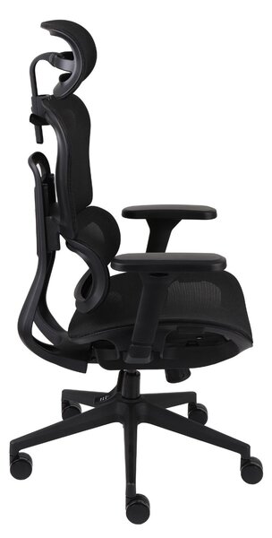 Fotel ergonomiczny Pedro, obrotowy, na kółkach, do gabinetu, do biura