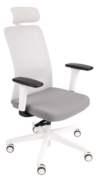 Fotel biurowy Nico WS HD, fotel ergonomiczny, do biura, do gabinetu, fotel z zagłówkiem