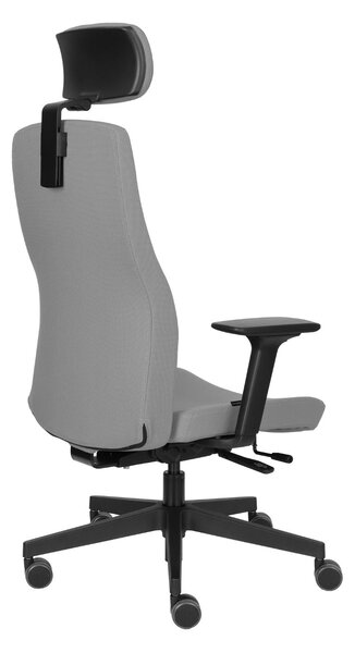 Krzesło Team Pro HD, do biura do gabinetu, fotel ergonomiczny