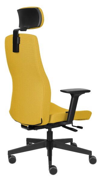 Krzesło Team Pro HD, do biura do gabinetu, fotel ergonomiczny