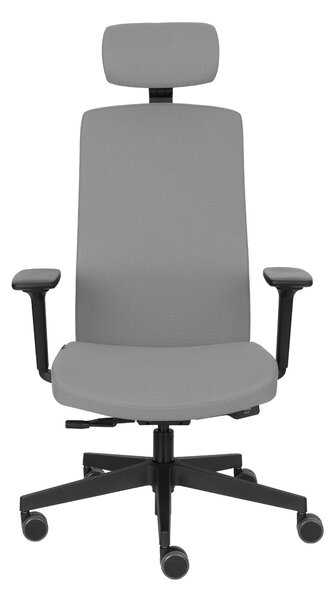 Krzesło Team Pro HD, do biura do gabinetu, fotel ergonomiczny