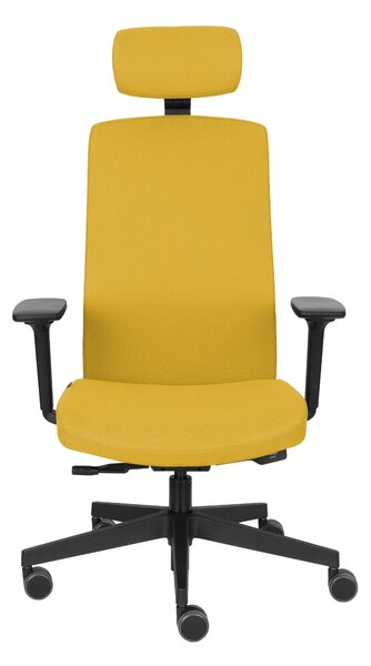 Krzesło Team Pro HD, do biura do gabinetu, fotel ergonomiczny