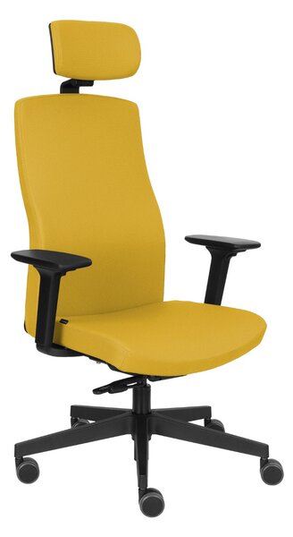Krzesło Team Pro HD, do biura do gabinetu, fotel ergonomiczny