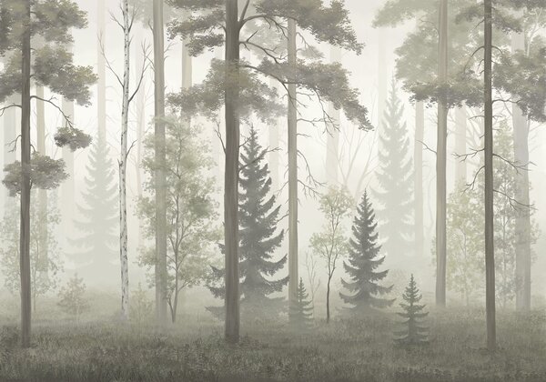 Fototapeta Zamglony las z drzewami, Fototapety Natura, Popularne Fototapety, t00978 - Tapeko.pl