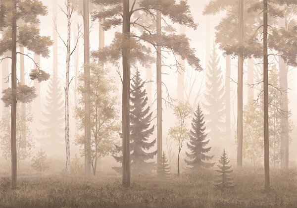 Fototapeta Zamglony las z drzewami, Fototapety Natura, Popularne Fototapety, t00978v1 - Tapeko.pl