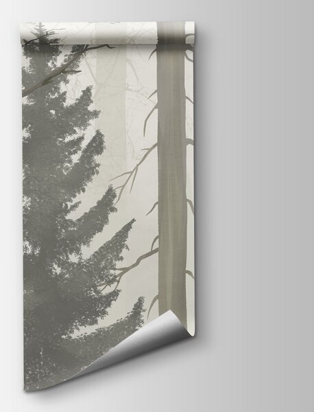 Fototapeta Zamglony las z drzewami, Fototapety Natura, Popularne Fototapety, t00978 - Tapeko.pl