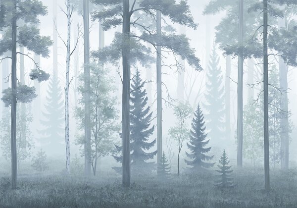 Fototapeta Zamglony las z drzewami, Fototapety Natura, Popularne Fototapety, t00978v2 - Tapeko.pl