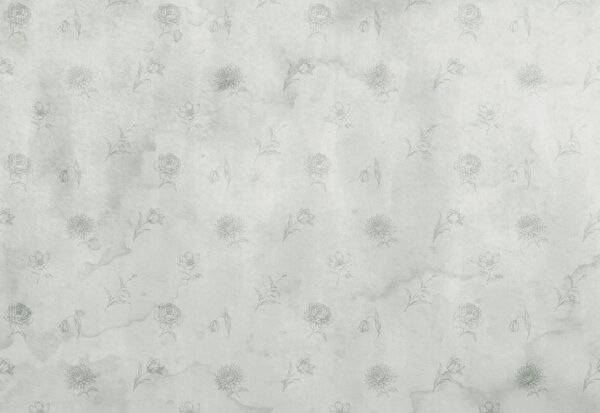 Fototapeta Biało-szary wzór kwiatowy, Fototapety Kwiaty, Popularne Fototapety, t00984v3 - Tapeko.pl