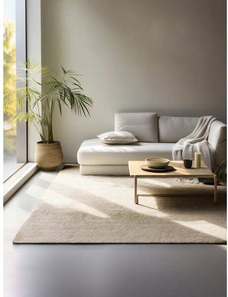 Kremowy dywan z juty 160x230 cm Bouclé – Hanse Home