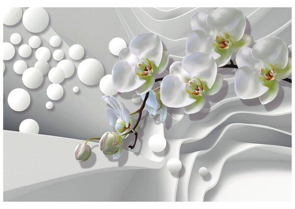 Tapeta orchidea na abstrakcyjnym tle