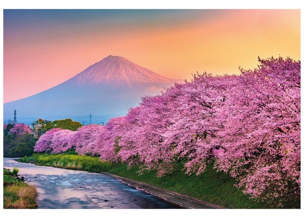 Fototapeta piękna Japonia