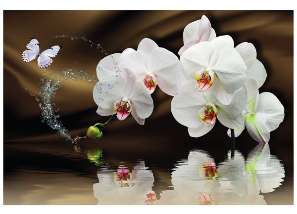Tapeta orchidea i motyl