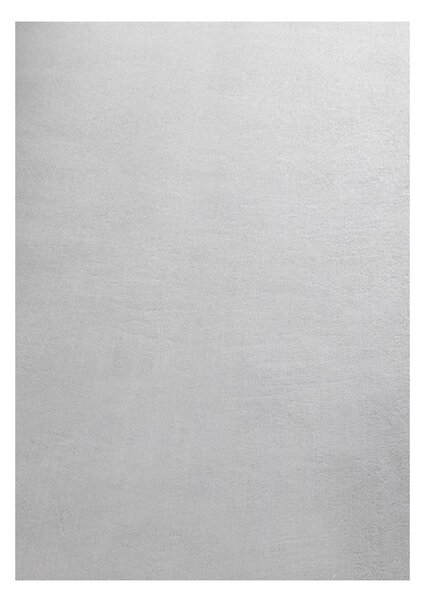 Jasnoszary dywan odpowiedni do prania 60x110 cm Sky – Ayyildiz Carpets