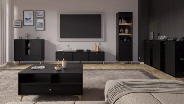 Komoda z szufladami do salonu Sakai 1 2F 2S T825 Czarny