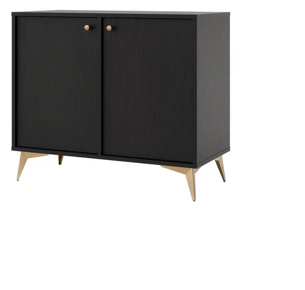 Komoda dwudrzwiowa do salonu Sakai 1 2F T812 Czarny