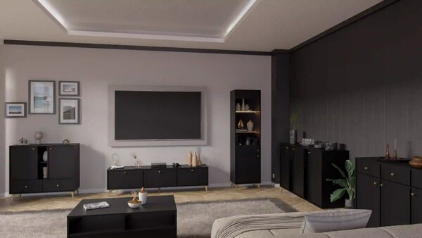 Witryna szklana do salonu Sakai 1 2F T101 Czarny