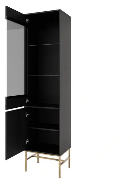 Witryna szklana do salonu Sakai 3 2F T101 Czarny