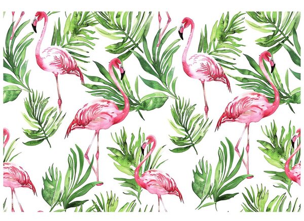 Tapeta flamingi w tropikach