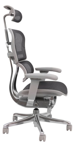 Fotel biurowy Ergohuman 2 Elite GS Black, czarny, ergonomiczny, siatkowy
