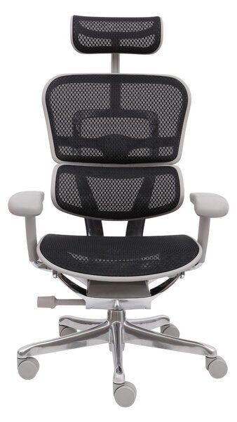 Fotel biurowy Ergohuman 2 Elite GS Black, czarny, ergonomiczny, siatkowy